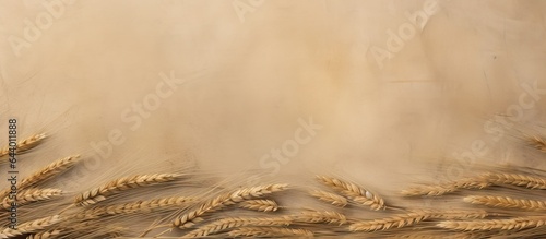 Barley malt commonly used for craft and homebrew beer isolated pastel background Copy space
