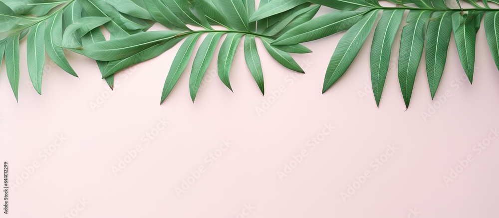 Leaves in green against isolated pastel background Copy space