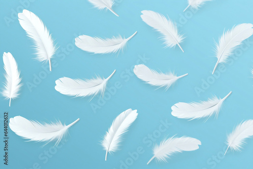 White bird wing feathers soft background © VICHIZH