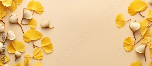 Gingko nuts on a isolated pastel background Copy space used in Chinese medicine photo