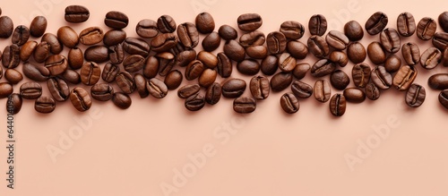 Coffee beans on a isolated pastel background Copy space