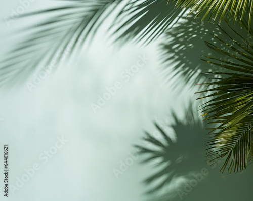 Rectangular podium on natural palm leaf shadow pastel green backdrop. Tropical product promotion Beauty cosmetics. Nude Studio Minimal showcase