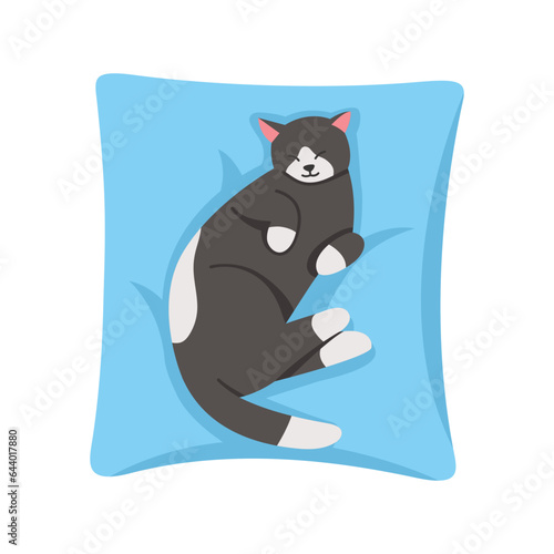 cat sleeping on a cat bed or pillow