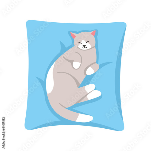 cat sleeping on a cat bed or pillow