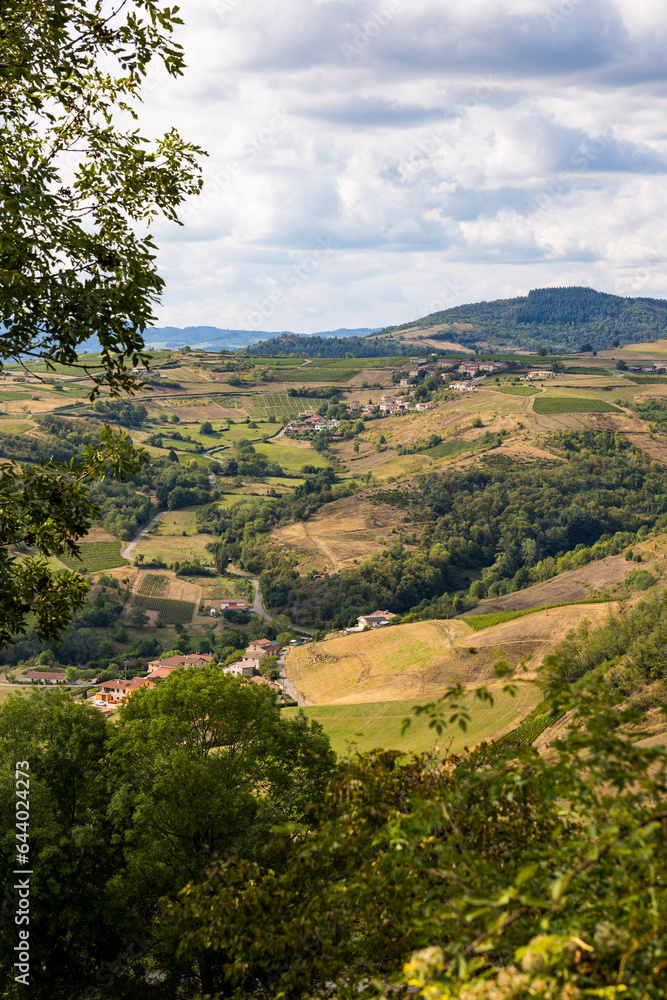 Fototapeta premium Paysage de collines et de vignobles du Beaujolais à proximité du village d’Oingt