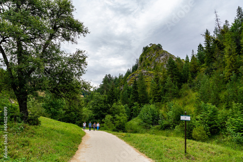 Obraz na płótnie Nature reserve