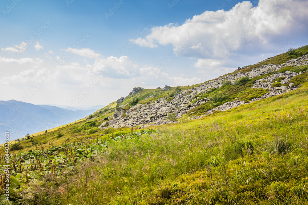 Beautiful view of the Ukrainian mountains Carpathians and valleys.Beautiful green mountains in summer with forests, rocks and grass. Water-making ridge in the Carpathians, Carpathian mountains Beautiful view of the Ukrainian mountains Carpathians and valleys.Beautiful green mountains in summer with forests, rocks and grass. Water-making ridge in the Carpathians, Carpathian mountains