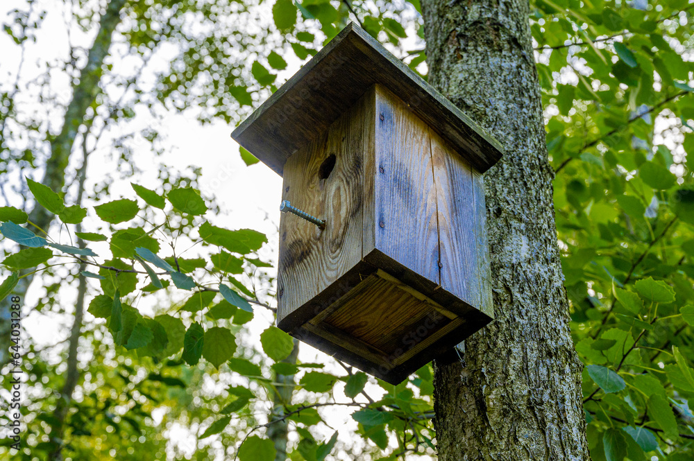 Bird house on a tree. 