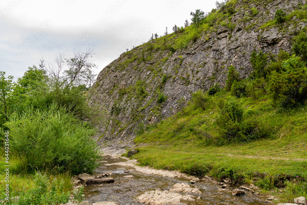 Nature reserve