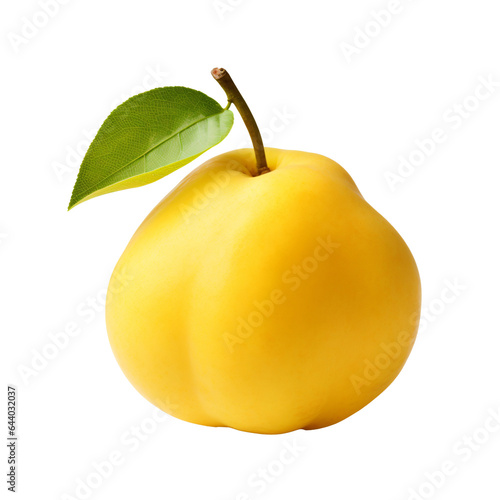 single quince with a small leaf isolated on transparent background