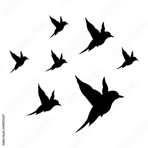 silhouettes of flock birds fly in sky