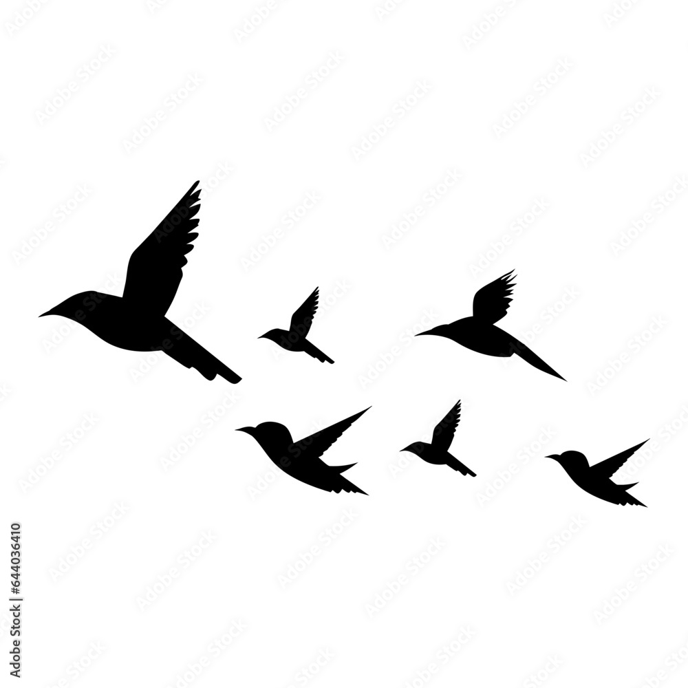 Obraz premium silhouettes of flock birds fly in sky