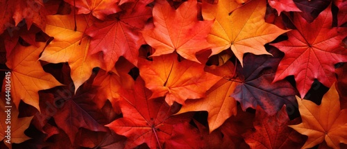 Red and Orange Autumn Leaves Background, Generative AI