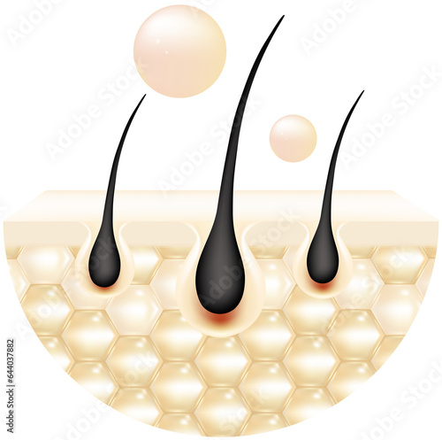 Hyaluronic acid hair and skin solutions, and white collagen serum drop into skin cells.
