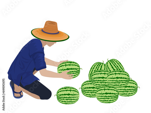 Red watermelon halved on a white background.