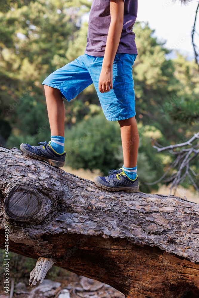 Close-up child's feet walk along the log of a fallen tree. a child in sneakers walks on a fallen tree. camping in the woods. Close-up child's feet walk along the log of a fallen tree. a child in sneakers walks on a fallen tree. camping in the woods.