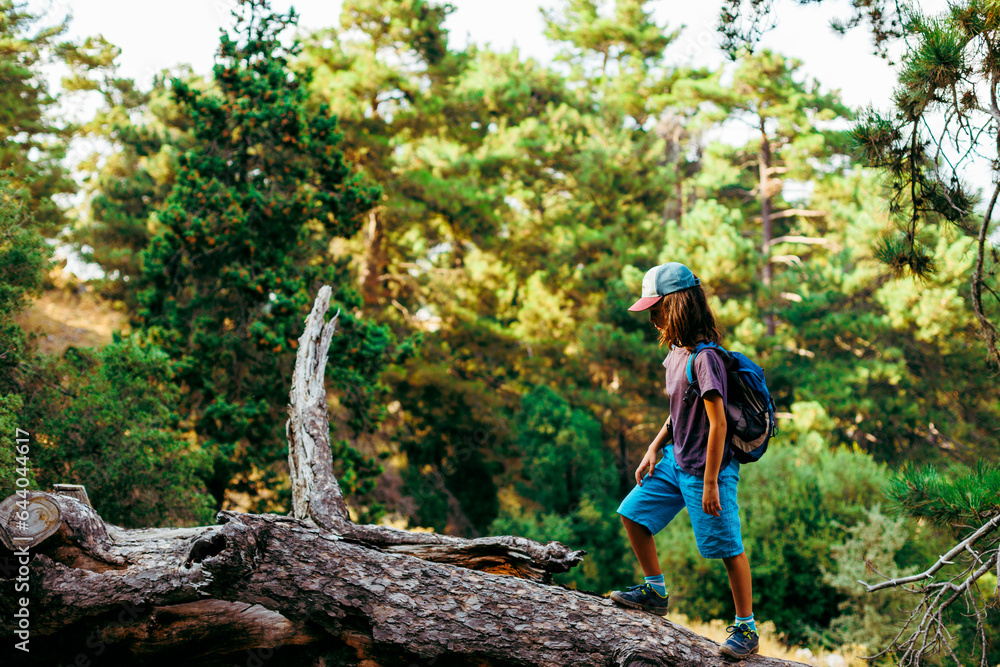 boy walks on top of a fallen tree in the forest. Children's leisure, a happy child climbs a tree and has fun.