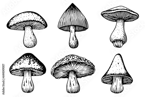 Hand drawn ink sketch of mushrooms set. Engraving vintage style vector illustration.