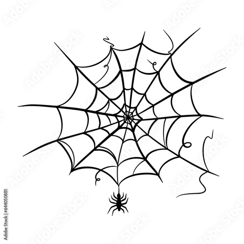 a hand drawn spider web, design element, decor.