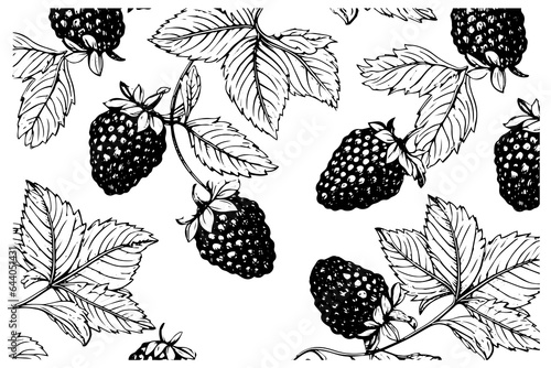 Blackberry or Raspberry seamless pattern.  Vector hand drawing. Isolated berry branch sketch.