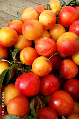 CUEILLETTE DE MIRABELLES SUR PLANCHE EN BOIS V1