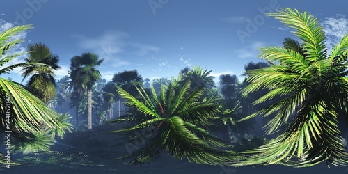 Jungle in the mountains in the morning  HDRI  environment map   Round panorama  spherical panorama  equidistant projection  panorama 360  3d rendering