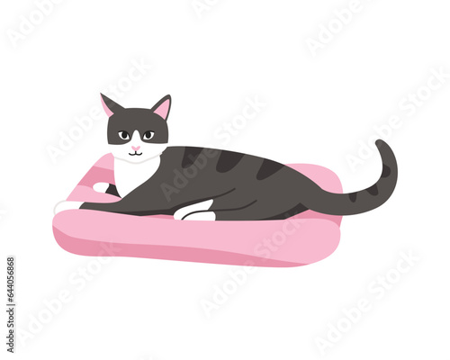 black and white cat lies on a bed for cats