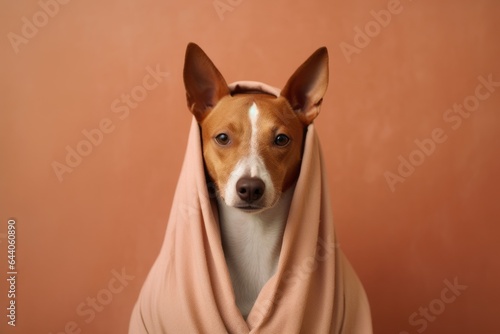 Photography in the style of pensive portraiture of a cute basenji dog wearing an anxiety wrap against a warm taupe background. With generative AI technology