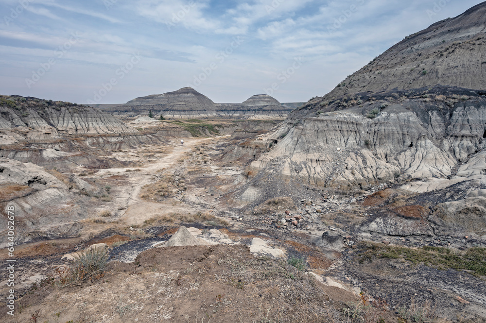 Panoramic overview of Horseshoe Canyon in the badlands near Drumheller, Alberta, Canada Panoramic overview of Horseshoe Canyon in the badlands near Drumheller, Alberta, Canada