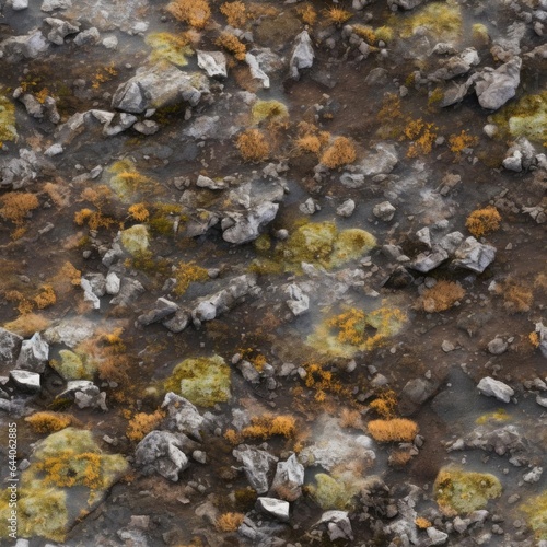 Seamless texture. Northern tundra