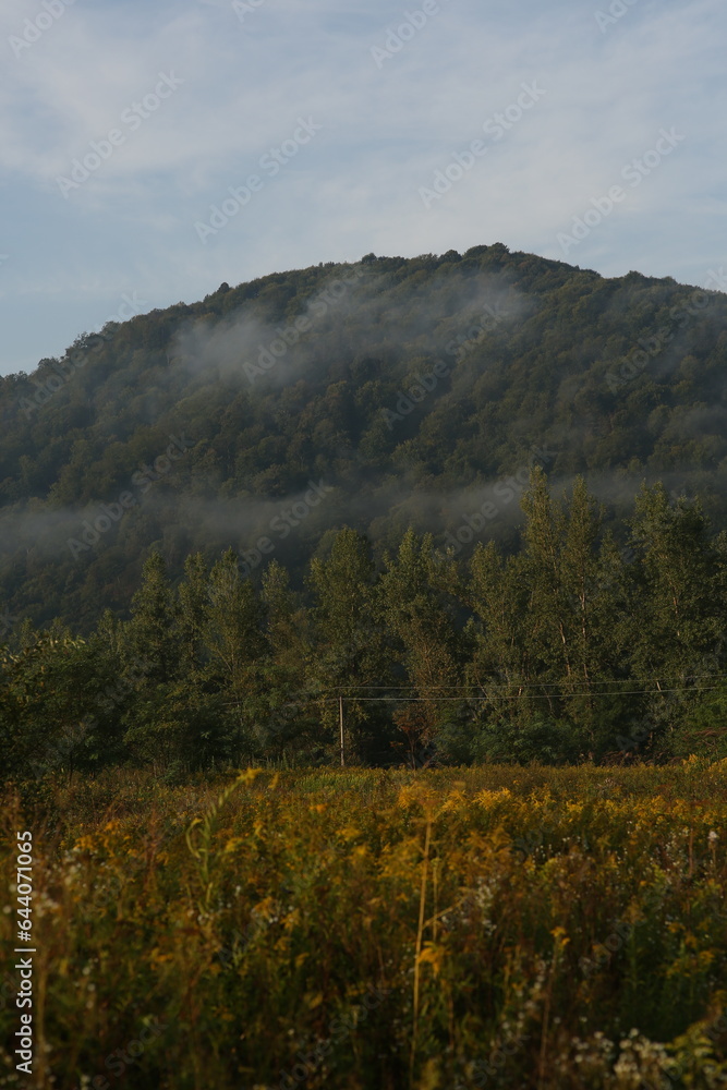 Obraz premium autumn in the mountains