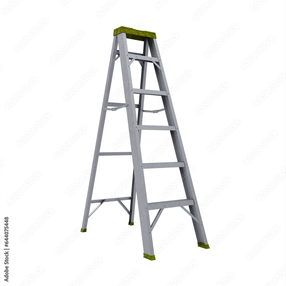 Folding Ladder