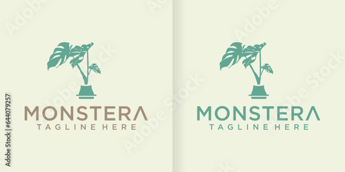Monstera logo design symbol vector template. Houseplant Monstera deliciosa in a pot