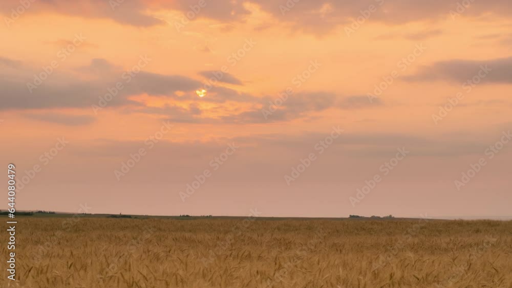 Sunset or sunrise at horizontal in the rural countryside weat field. yellow sky atmosphere evening natural landscape. mountains background. Cloudscape timelapse natural landscape 4k b-roll footage. Sunset or sunrise at horizontal in the rural countryside weat field. yellow sky atmosphere evening natural landscape. mountains background. Cloudscape timelapse natural landscape 4k b-roll footage.