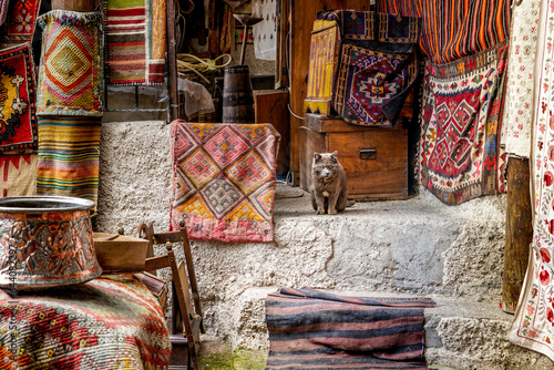 Cat Colorful Turkish Carpet Street Home photo