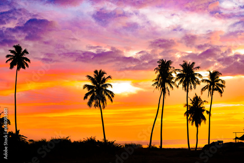 Fototapeta Naklejka Na Ścianę i Meble -  The silhouette of a row of coconut trees on Bakongan Beach, Tapaktuan, Aceh during sunset, with the sky blending from orange to red and magenta, is a truly beautiful moment.