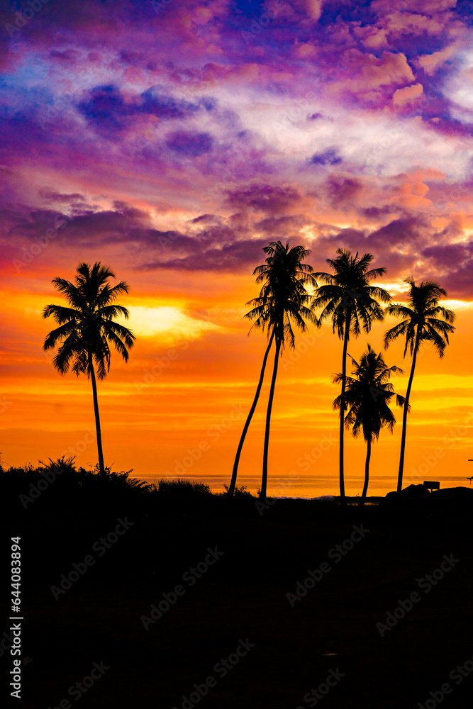 The silhouette of a row of coconut trees on Bakongan Beach, Tapaktuan, Aceh during sunset, with the sky blending from orange to red and magenta, is a truly beautiful moment.