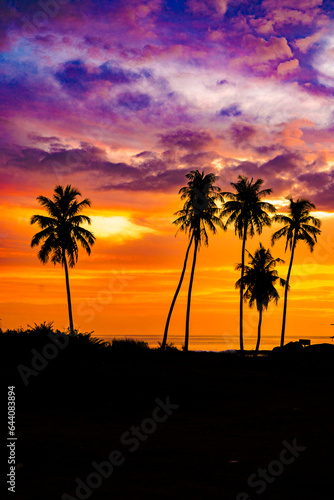 The silhouette of a row of coconut trees on Bakongan Beach, Tapaktuan, Aceh during sunset, with the sky blending from orange to red and magenta, is a truly beautiful moment. © Neilstha Firman