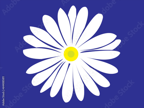 Beautiful white Daisy (Marguerite) with a little pink, isolated on blue background, including clipping path.
