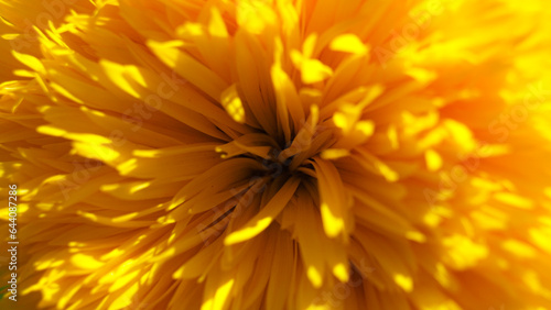 Foto fleur jaune fond bannière