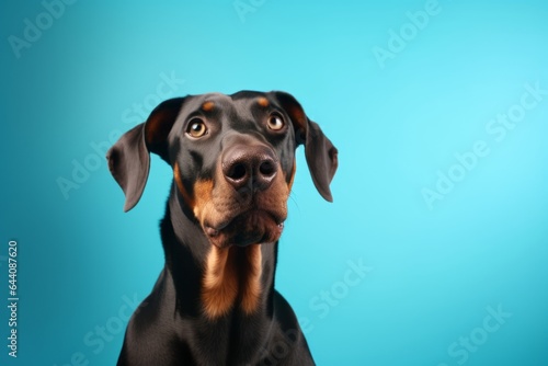 Medium shot portrait photography of a happy doberman pinscher wearing a doctor costume against a soft blue background. With generative AI technology