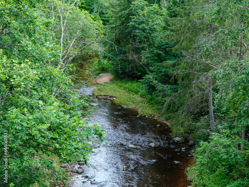 drained river bed with no water is summer