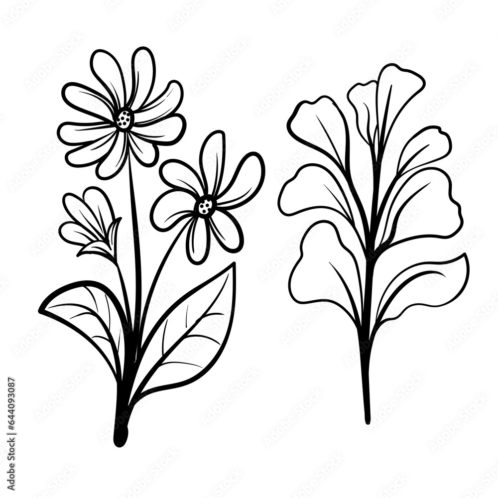 set of Botanical arts. Hand drawn line drawing of abstract flower, floral, rose, tropical leaves, spring and autumn leaf, bouquet of olives set of Botanical arts. Hand drawn line drawing of abstract flower, floral, rose, tropical leaves, spring and autumn leaf, bouquet of olives