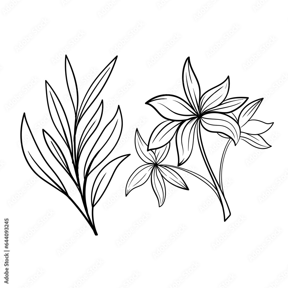 set of Botanical arts. Hand drawn line drawing of abstract flower, floral, rose, tropical leaves, spring and autumn leaf, bouquet of olives
