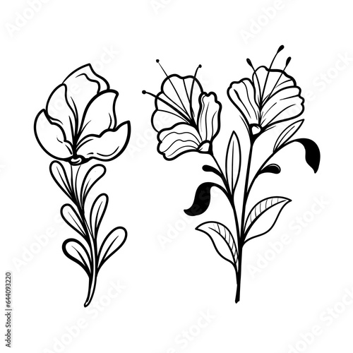 set of Botanical arts. Hand drawn line drawing of abstract flower  floral  rose  tropical leaves  spring and autumn leaf  bouquet of olives