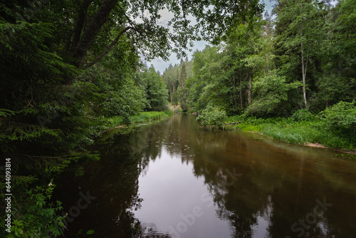 Forest river Valge on a cloudy summer day.
