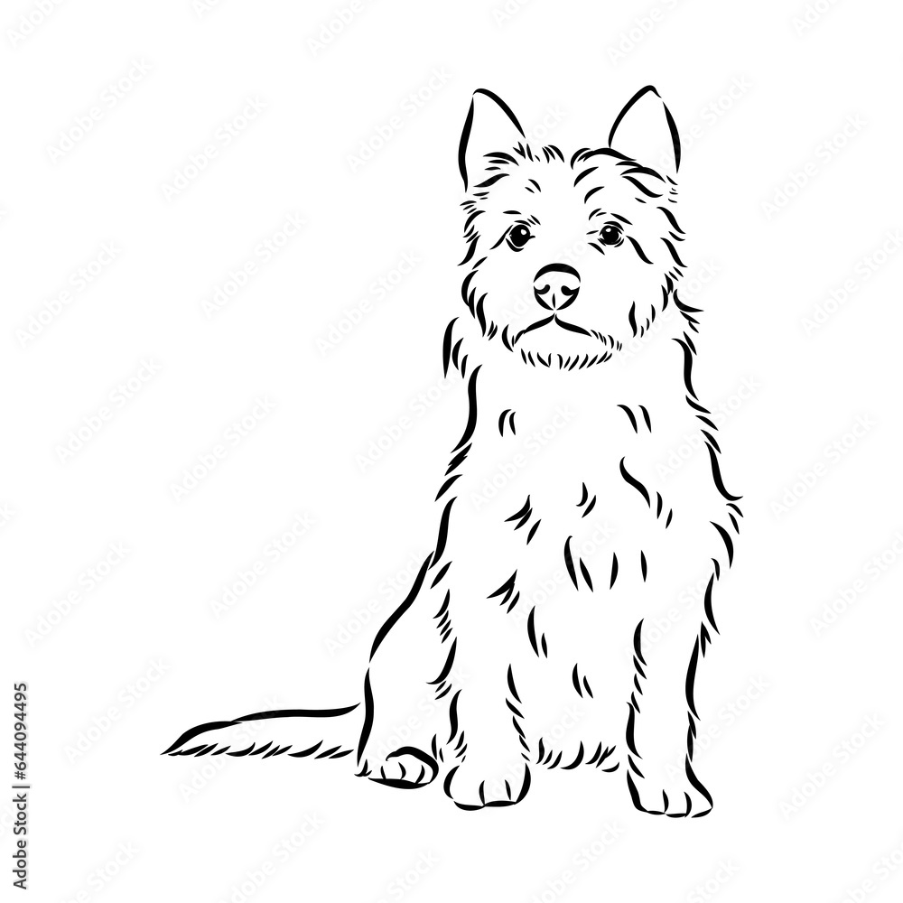Decorative outline portrait of Dog Australian Terrier, vector