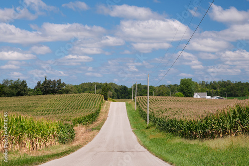 A paved or chip and sealed county road in rural Indiana with corn fields, power lines, and a farm house in the image. There is a forest in the distance. The sky is partly cloudy on a bright summer day