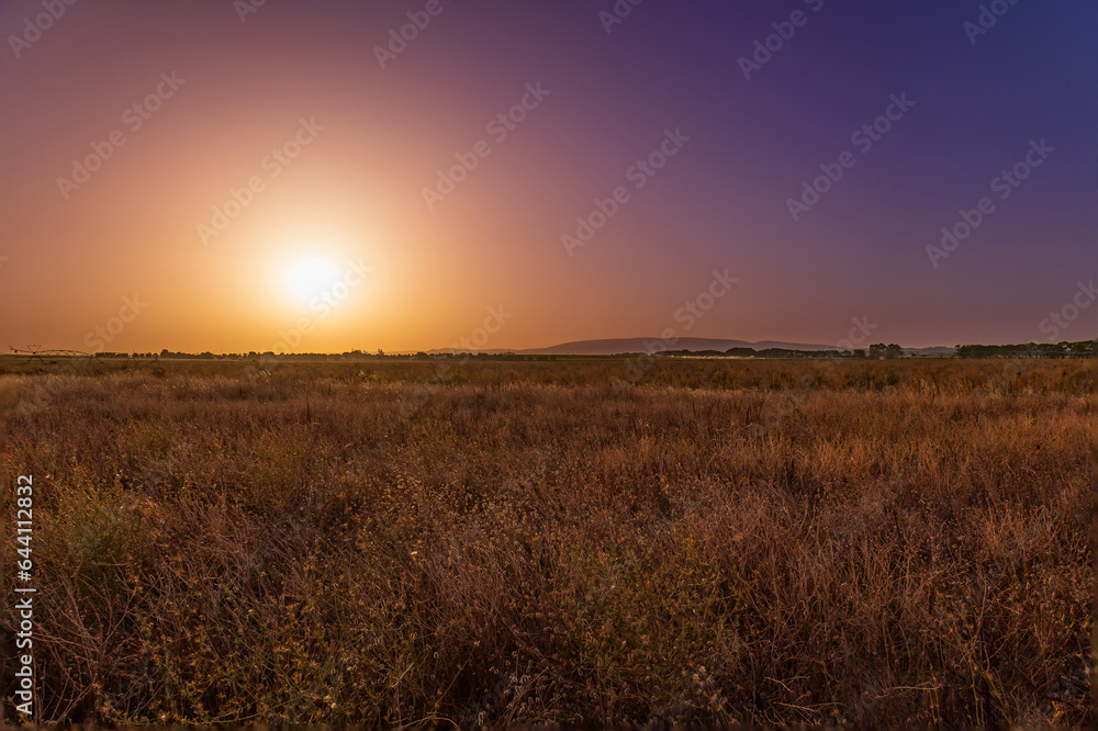 Beautiful plain fields in a golden sunset