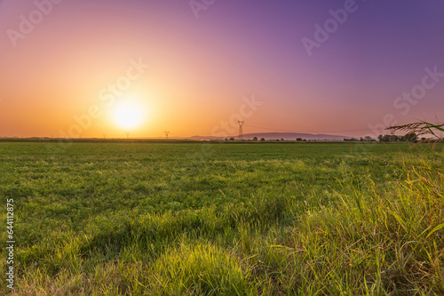 Beautiful plain fields in a golden sunset